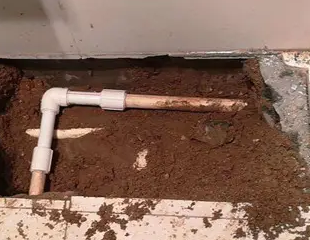 察哈尔右翼前测漏水哪家好