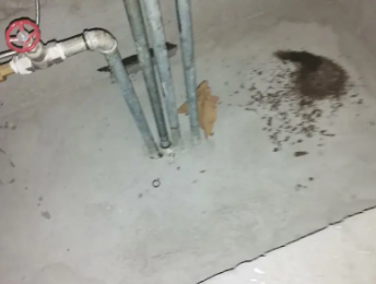 察哈尔右翼前卫生间测漏水价格明细