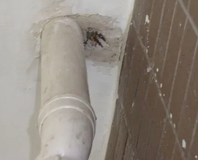 察哈尔右翼前漏水检测哪家好